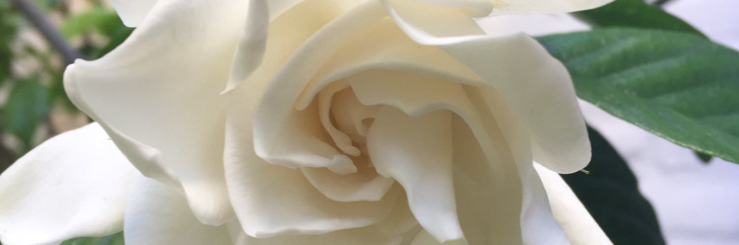 mariam_miguez's profile banner image