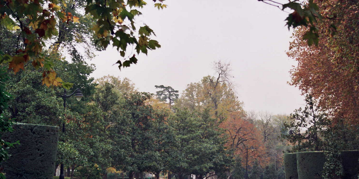 Adeces banner