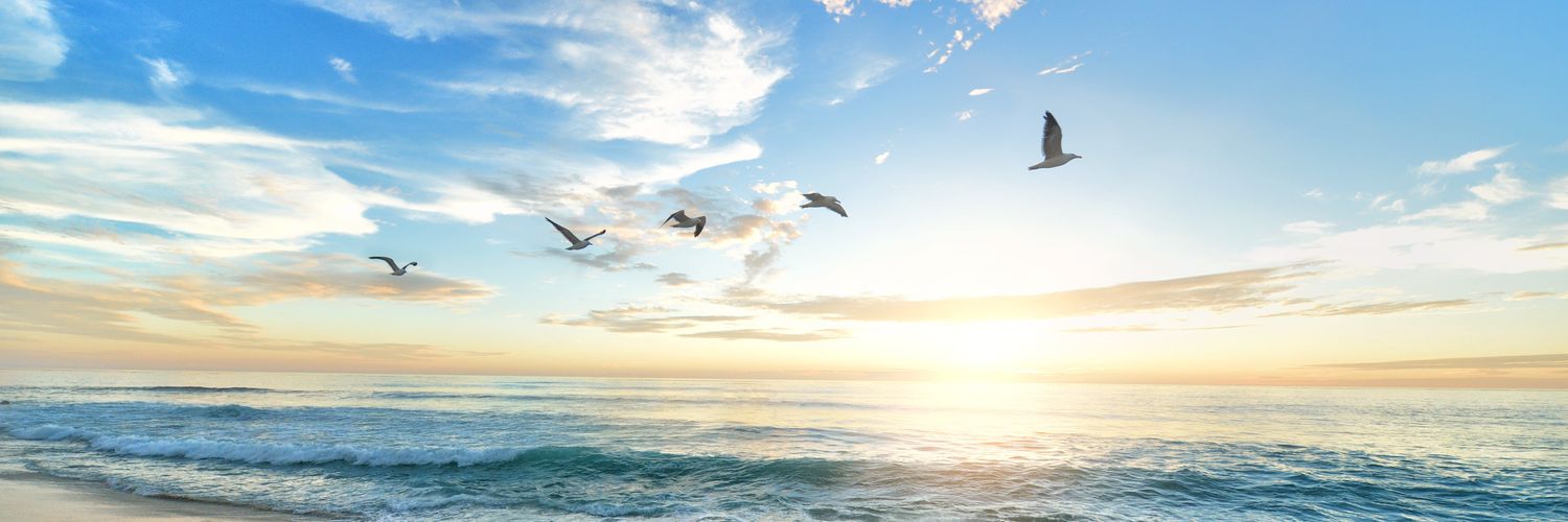 ts13_hh31's profile banner image