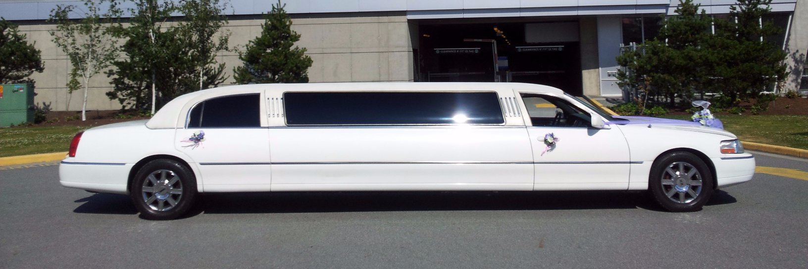 City Limousine Service Ltd banner