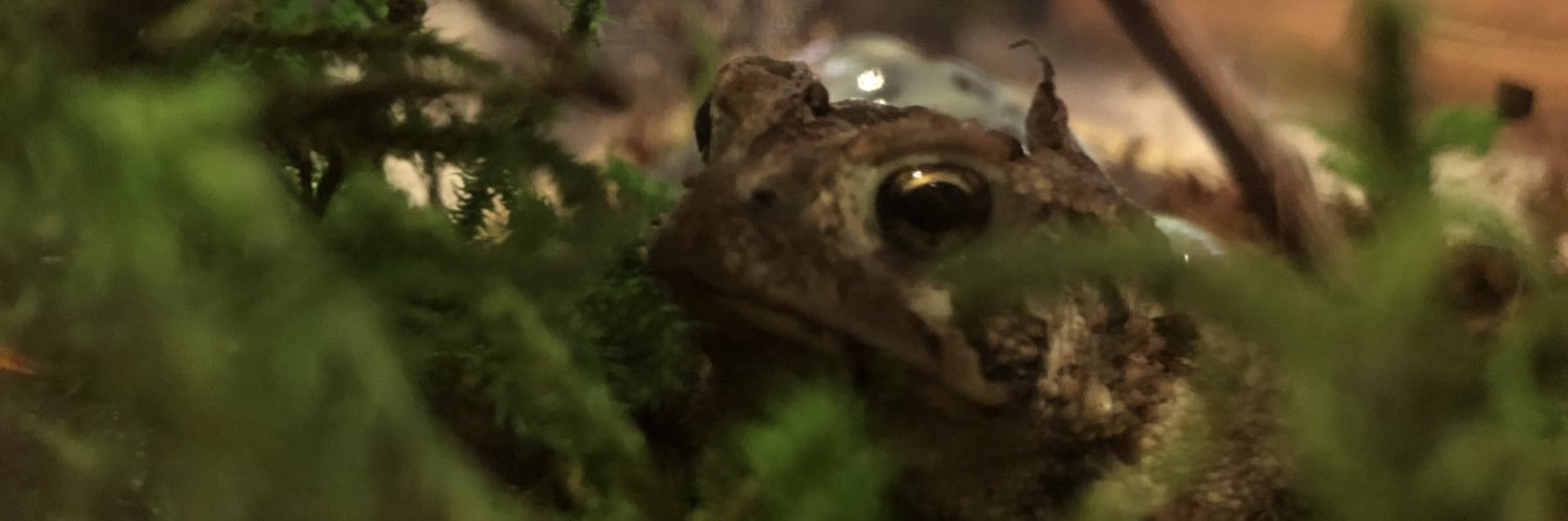 puffpuff but not like weed banner