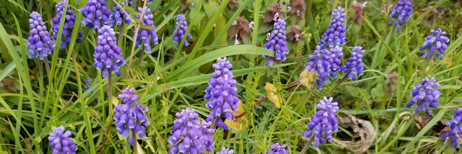 Ridy0421's profile banner image