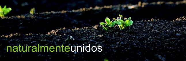 CONSEBRO's profile banner image