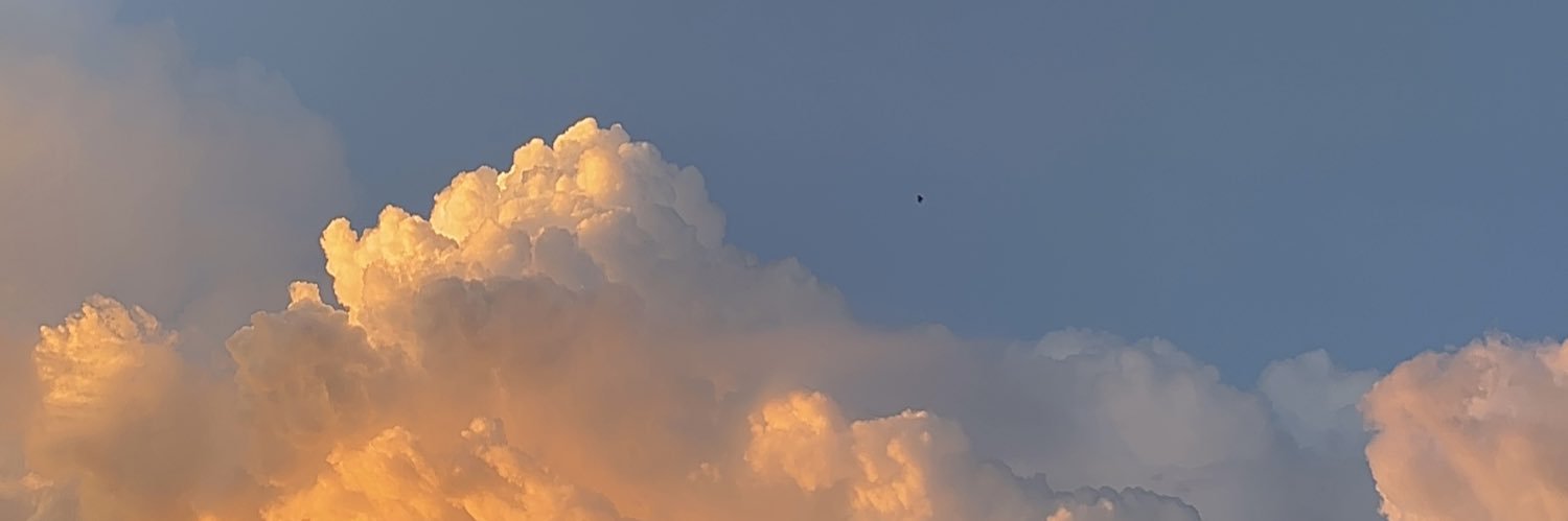 trilesst's profile banner image
