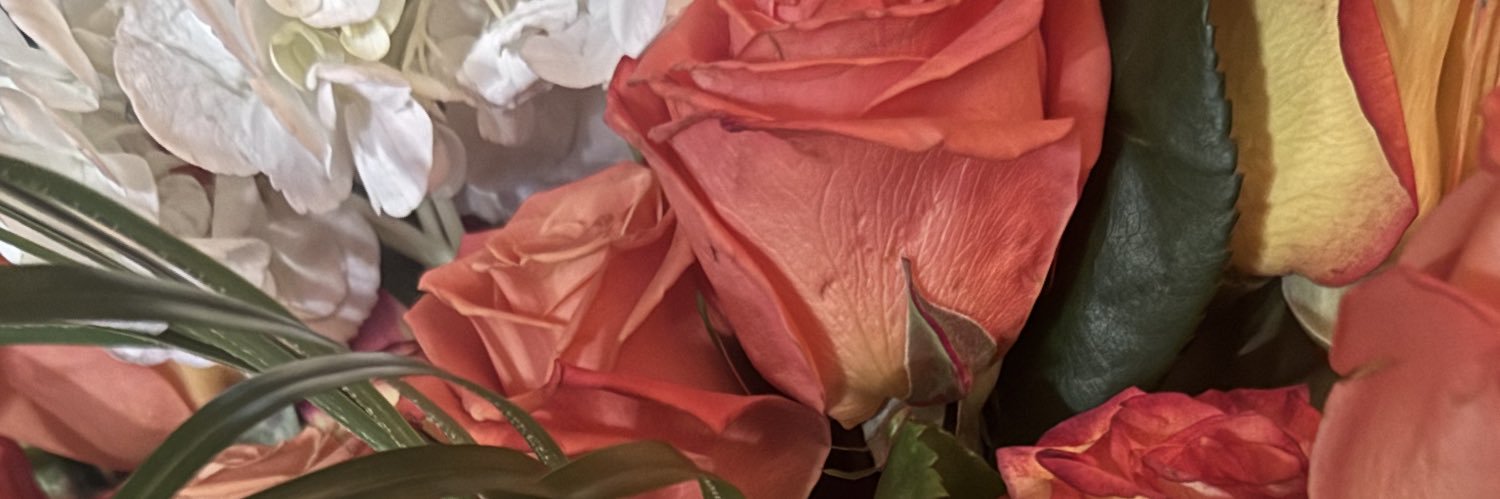 𝔰𝔭𝔬𝔬𝔨𝔶 𝔠𝔥𝔢𝔶 🕸️ banner