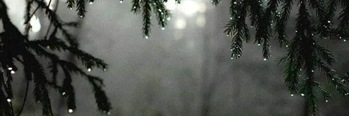 Chango_sangron's profile banner image