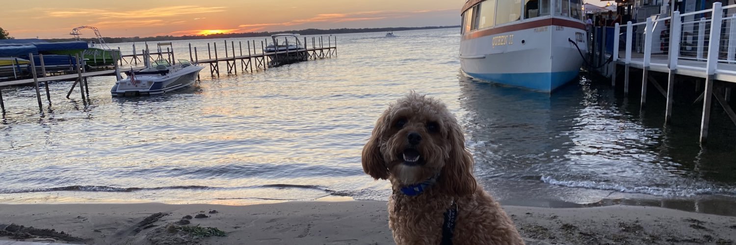 Peytiny98's profile banner image