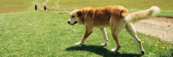 Radek Kedroň banner