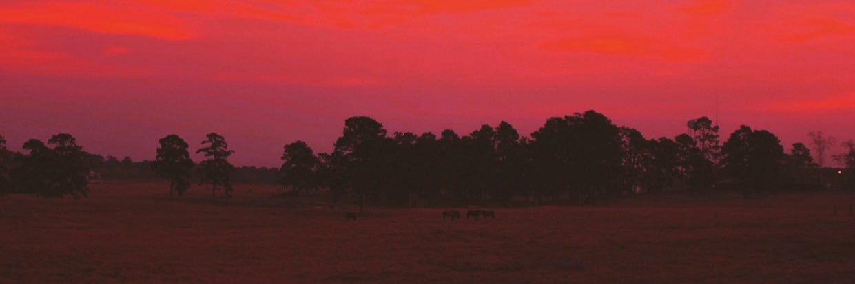 daesiign's profile banner image