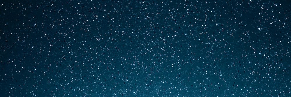 lnelson's profile banner image