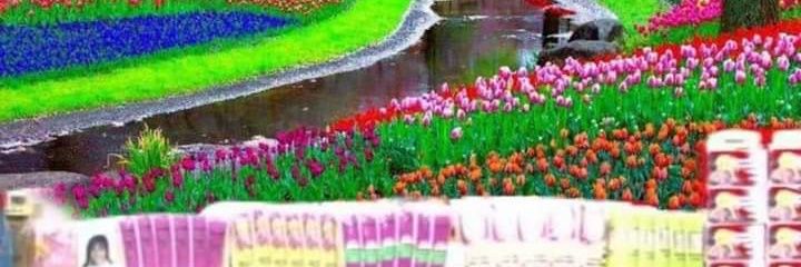 เจ๋นแฮแมล้าววววว banner