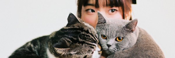 kunbentsu Profile Banner