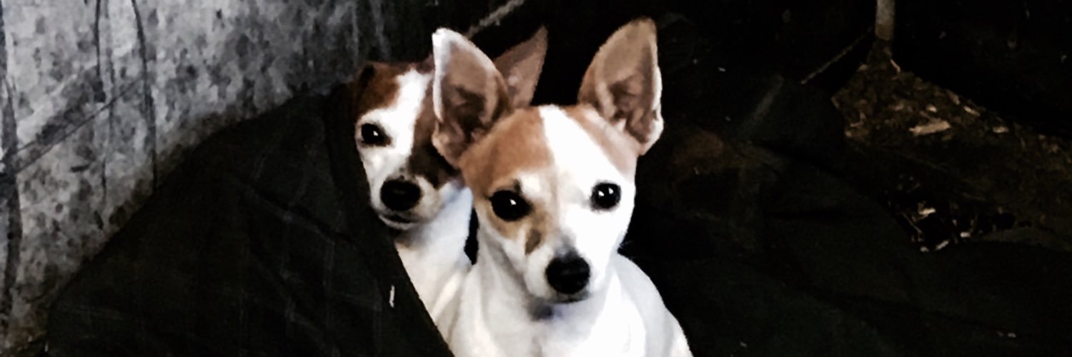 JoffaCake's profile banner image