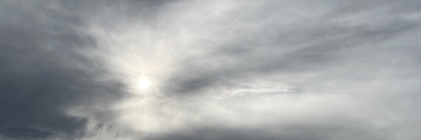 tammykash Profile Banner