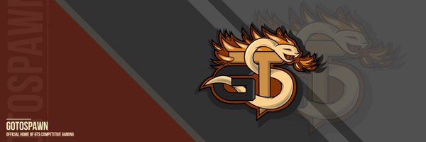 GoToSpawn Profile Banner