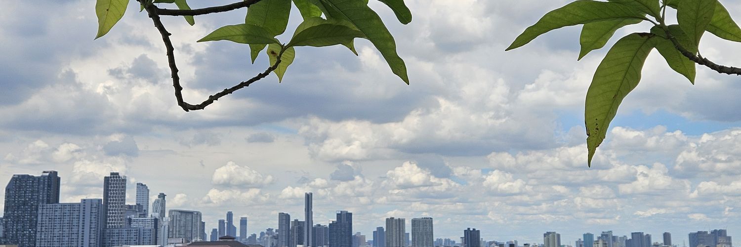 Omar Kraidié banner