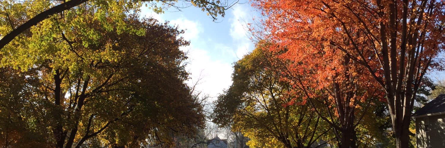 BSAuen's profile banner image