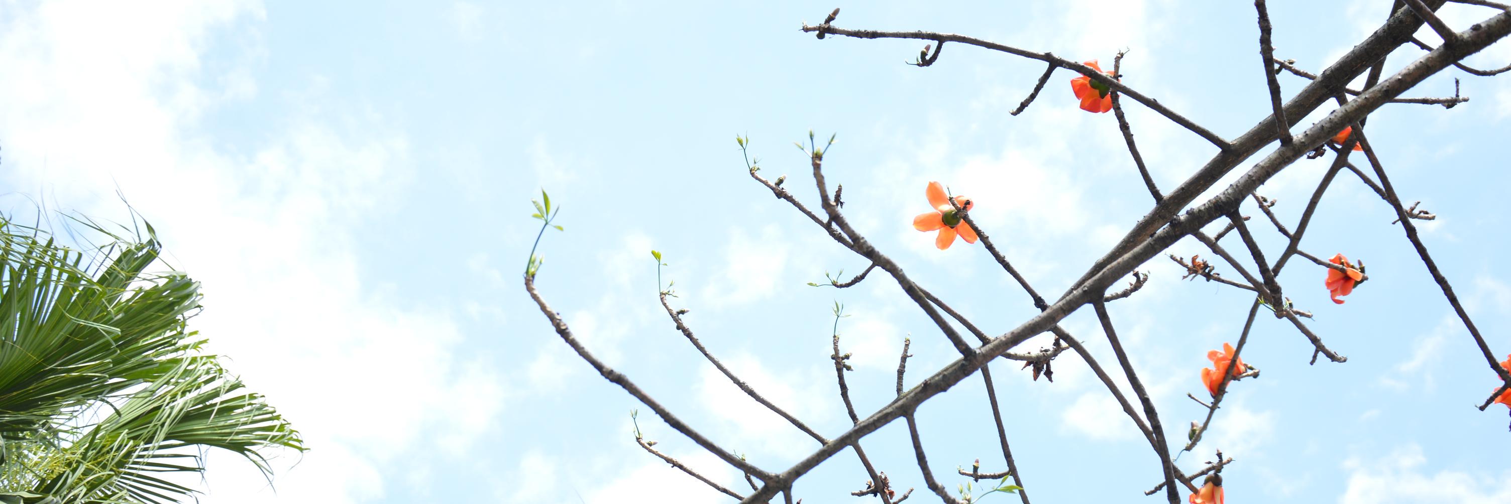brthen6329's profile banner image