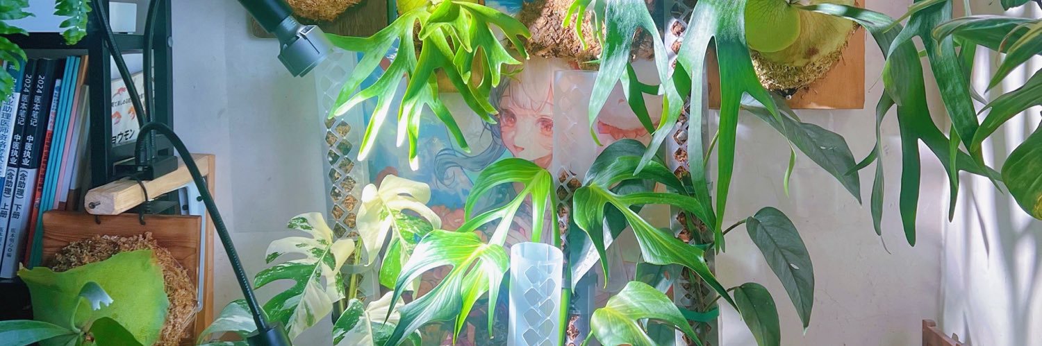 fafa001002tt's profile banner image