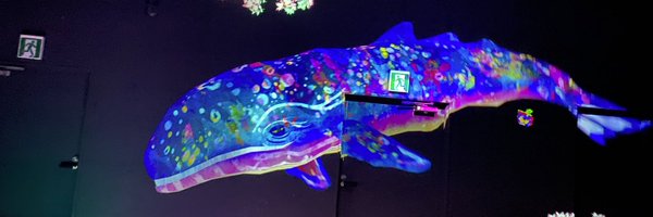 SecretSpacer Profile Banner