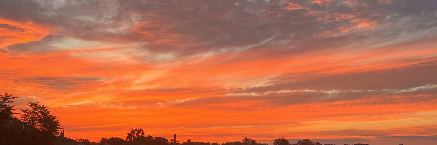 amya081's profile banner image