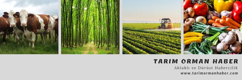 Tarimormanhaber.com banner