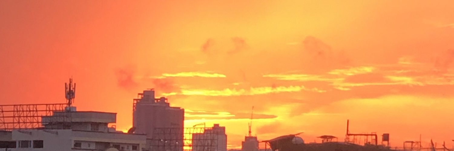 minasfleur's profile banner image