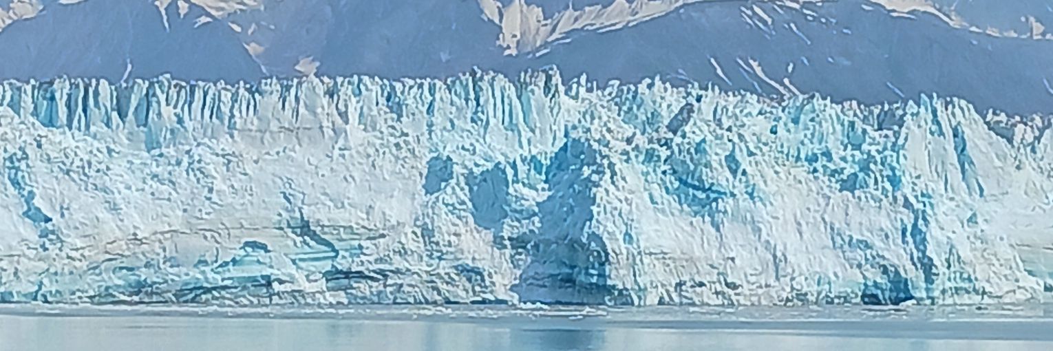 Tim Morris M.Sc. banner