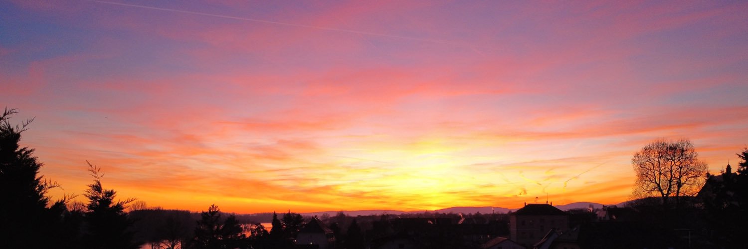 Brusky🌻🇩🇪 banner