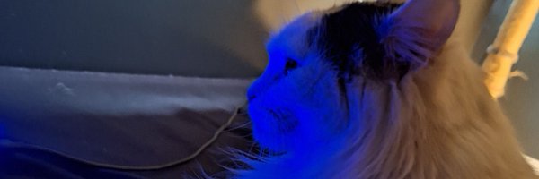 NameXKnight2 Profile Banner