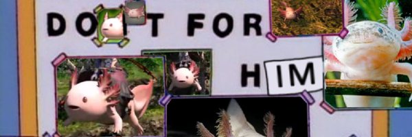 mimidgy Profile Banner