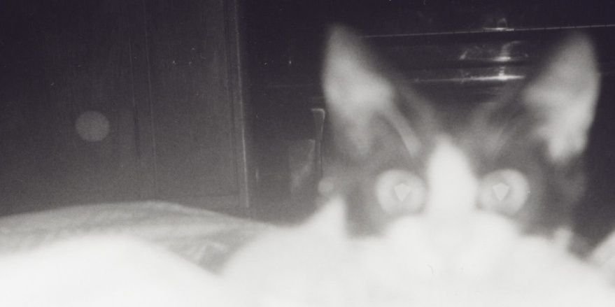 bdama22's profile banner image