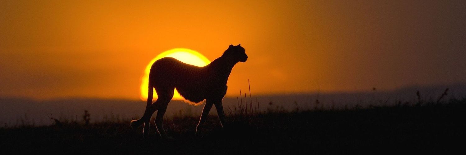 Benjamín Purrán banner