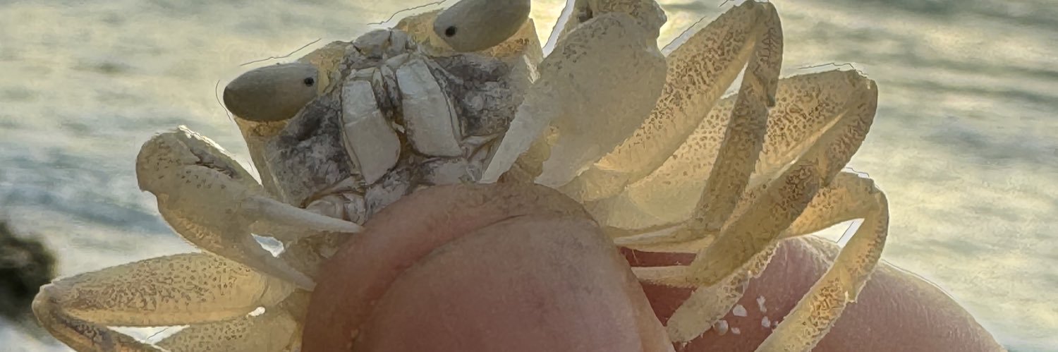 YSKFSET's profile banner image