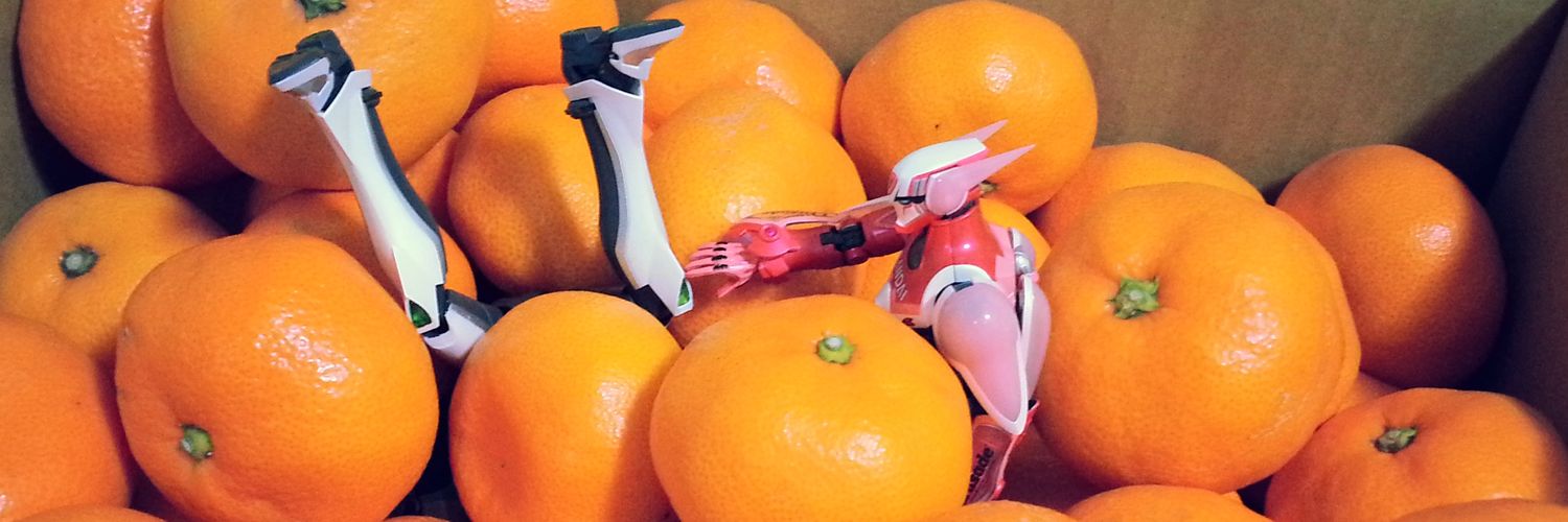 カネモト 25/25 banner