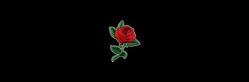kendann23's profile banner image