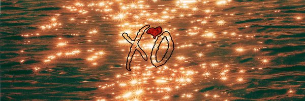 saddlesins Profile Banner