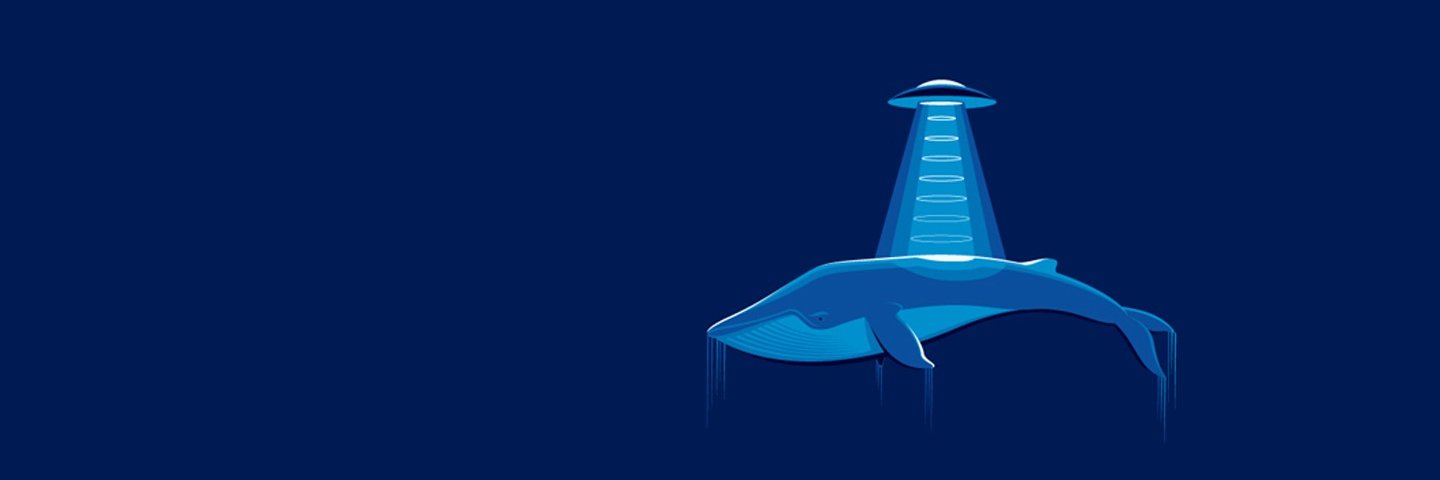 grush's profile banner image