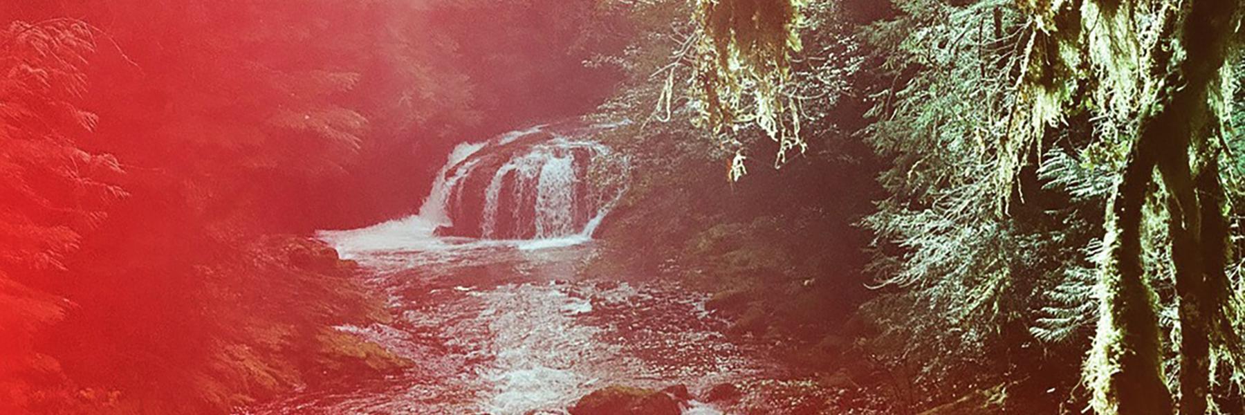DirtyLaundryMag's profile banner image