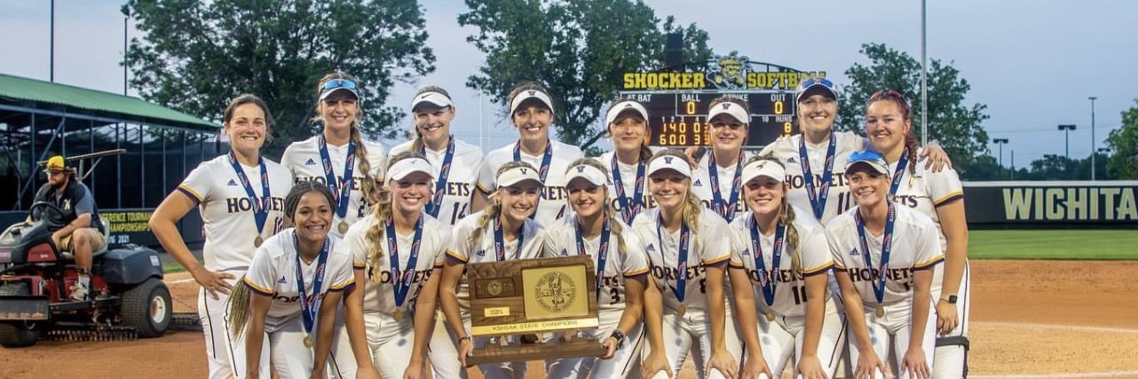 VCHS Hornet Softball 🥇🥇 banner