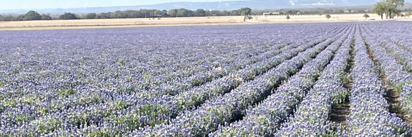 AMKlasing Profile Banner