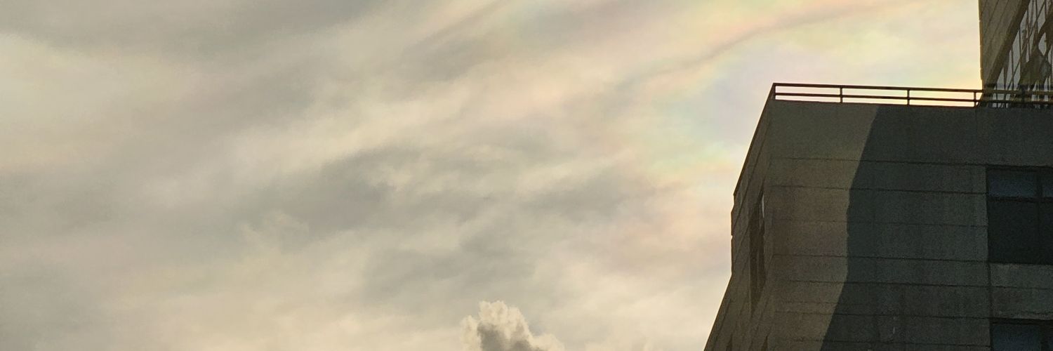 smmyschldrnsdy_era banner