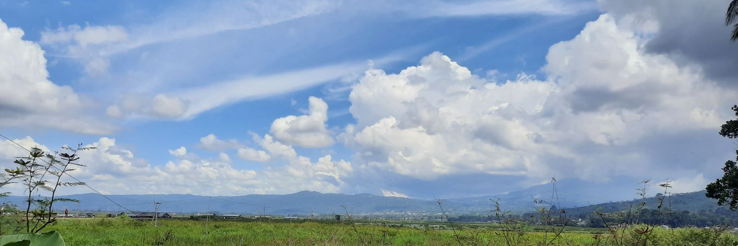 pheela's profile banner image