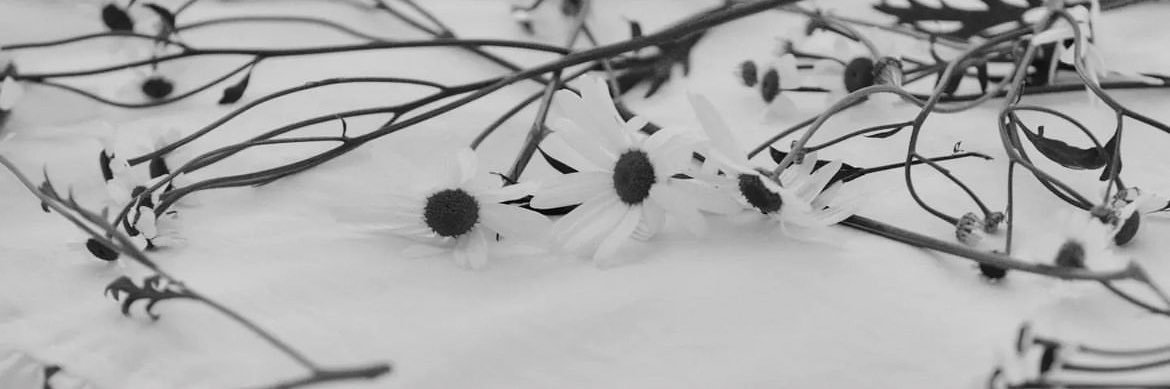 Натали ♡ banner