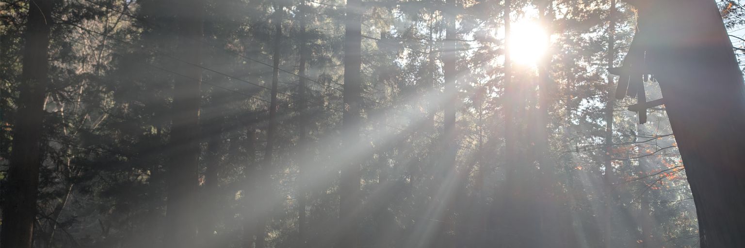 coach_kamiya's profile banner image