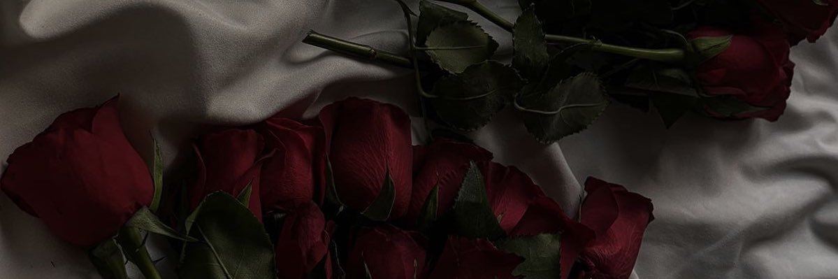 Aime Romero banner