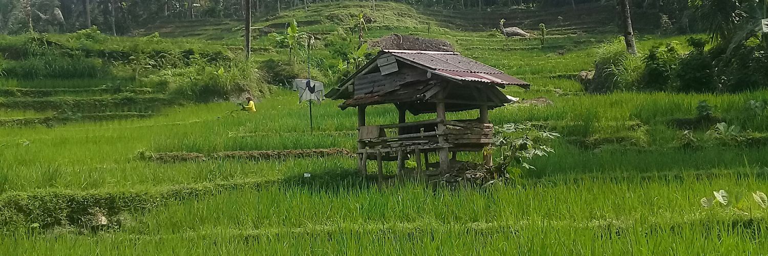 anidaarof's profile banner image