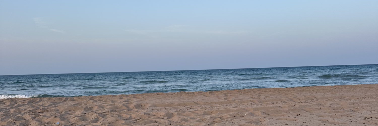 roserferrerm's profile banner image