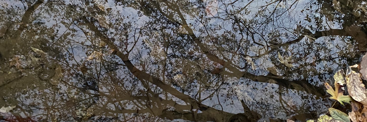 ApeishBlake's profile banner image