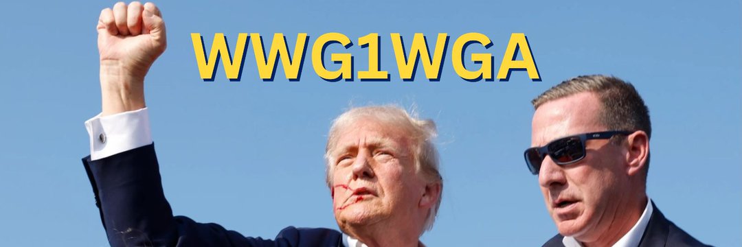 Freedom Force-Redpill the world banner